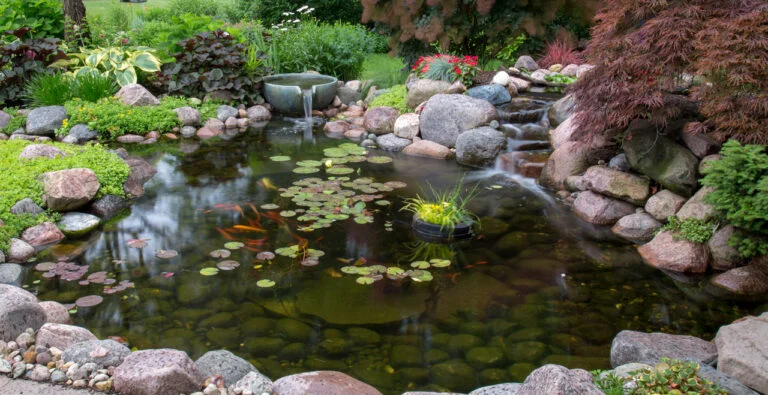 Ecosystem-Pond_12-1-768x395
