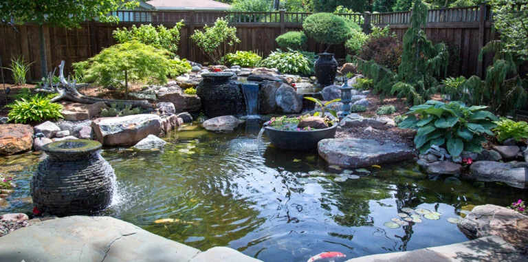 Ecosystem-Pond_1322-768x381