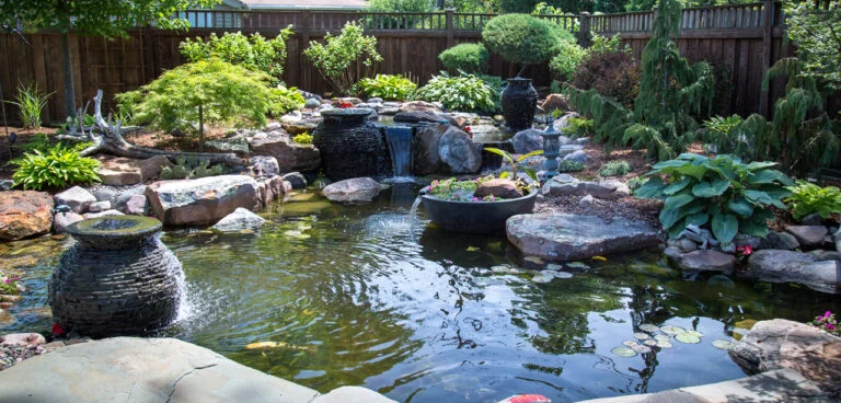 Pond_101-768x368-1 (2)