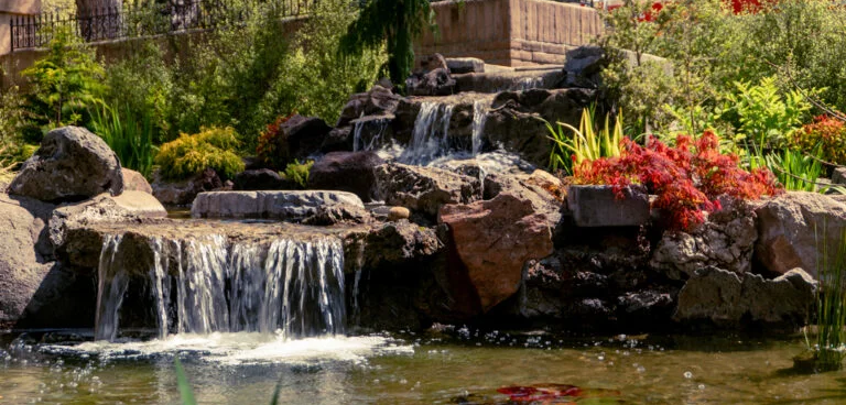 Pond_101-768x368-1 (3)