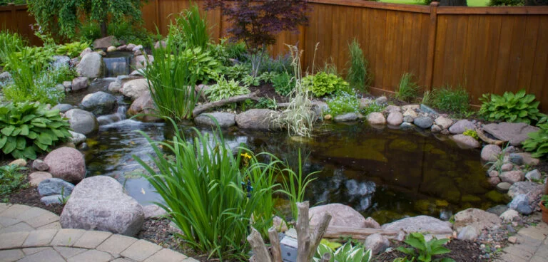 Pond_101-768x368
